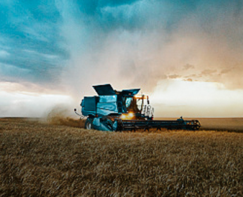 Agriculture
