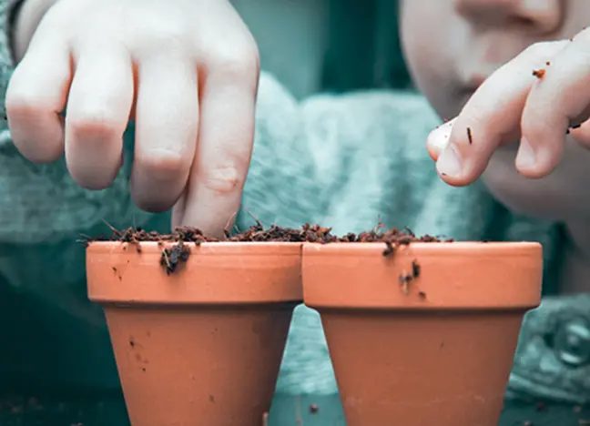 Two-pot retirement system